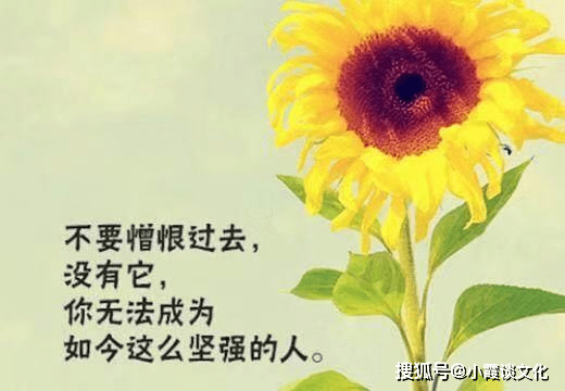 4bc25a1307ce4e03b287905a4ff85484.png