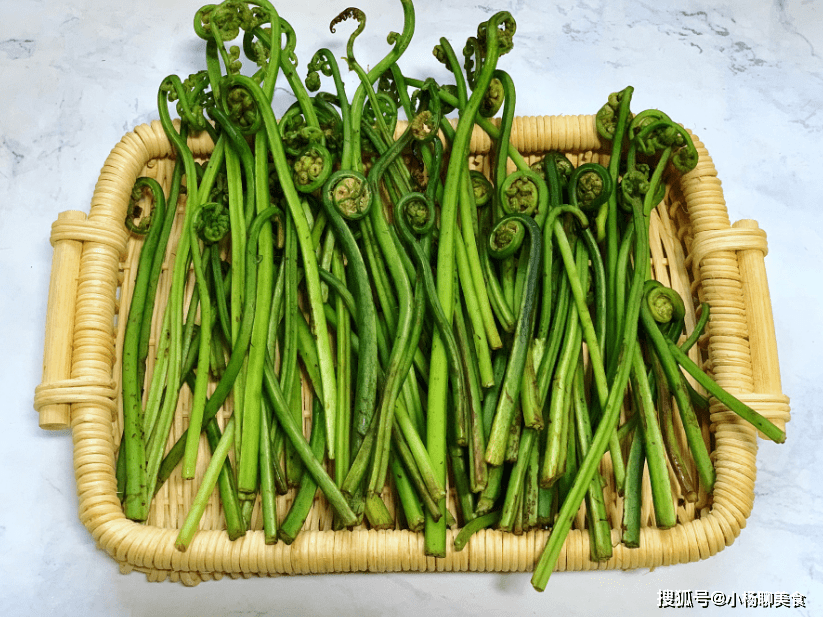 【食用山蕨菜的好處】