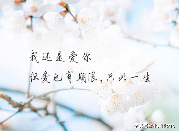 626f20281bbe4fc09fee4034895576c3.png