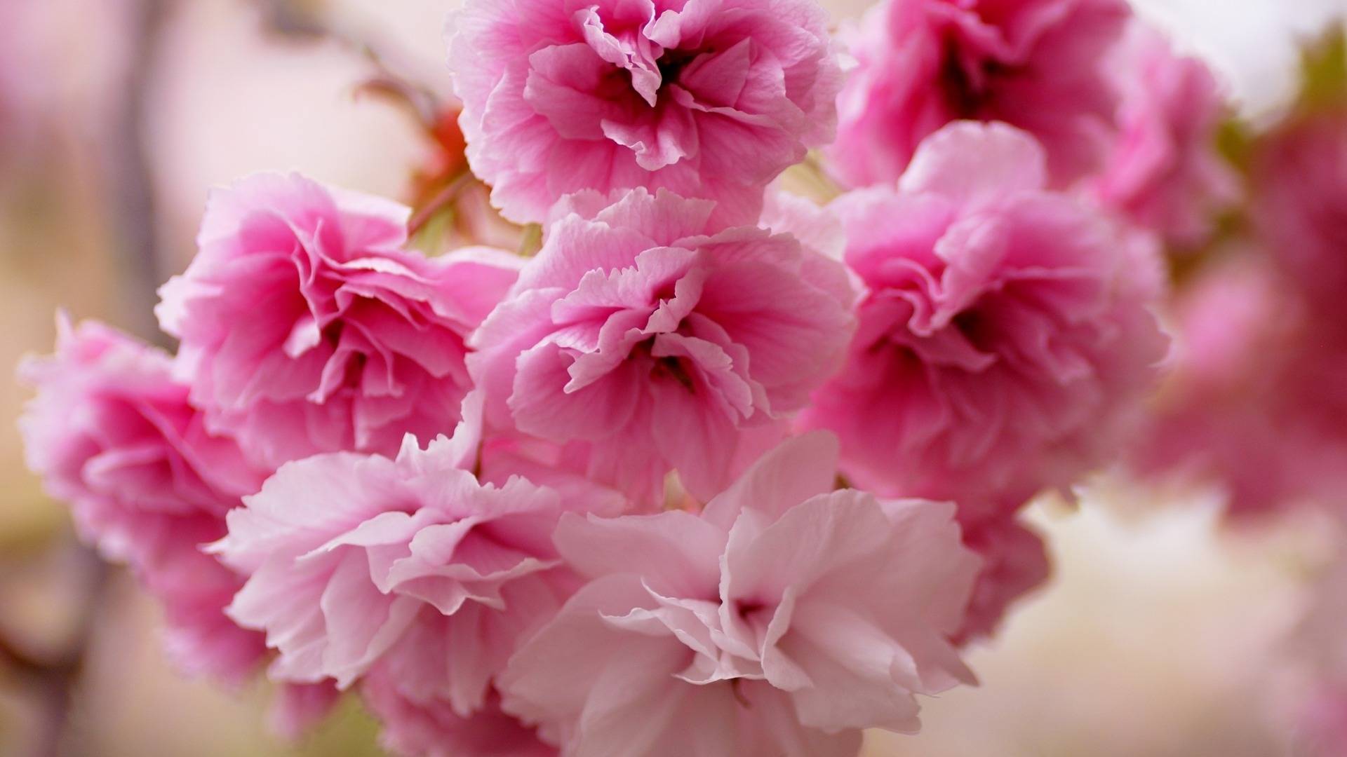 9月7日星座运势:巨蟹迎接挑战,天秤循序渐进,双鱼好胜心强