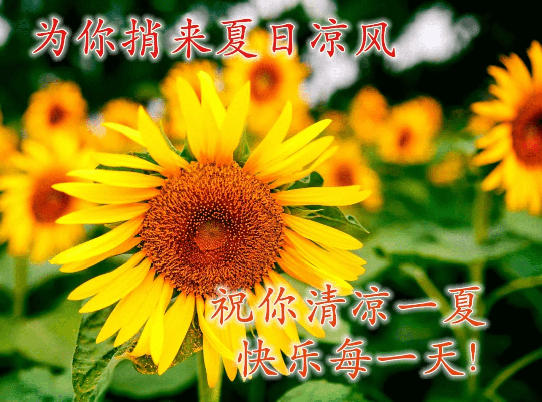 6df52abd7f304b8f9bc6bed5db8824f7.png