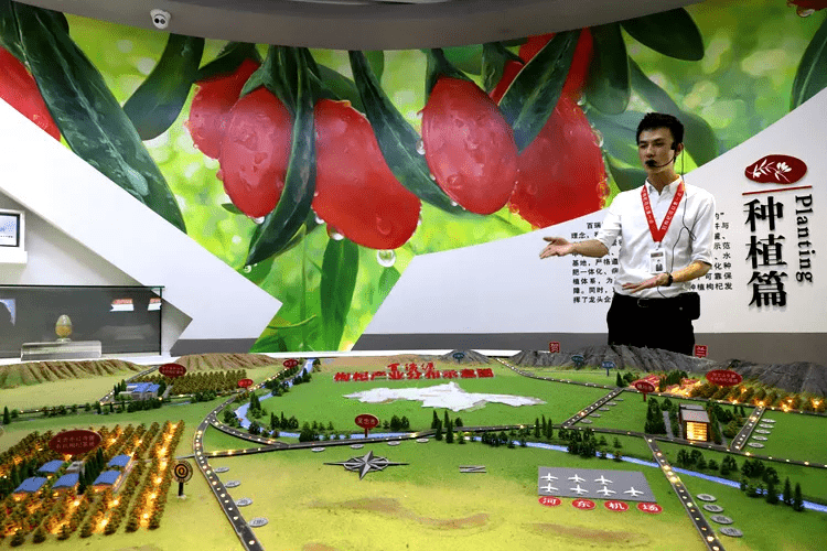 西夏|不要钱、有趣、人少的小众博物馆,宁夏文青中秋来集合!