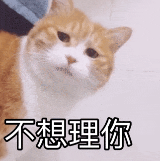 补充|猫咪喂食6大误区,家长早知道,猫咪少受罪!