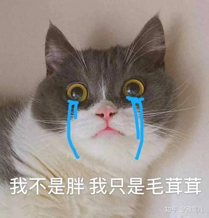 效果|孔雪儿怎么肿成这样？这是填充失败了吗？！