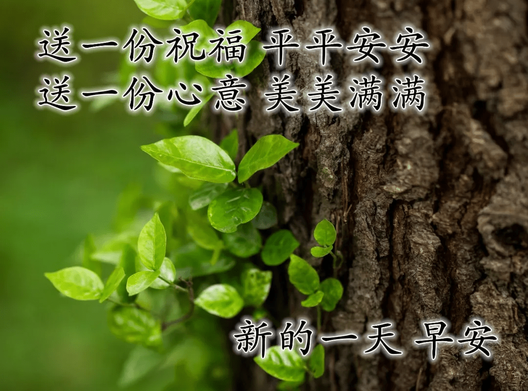 新版唯美早上好动态图片带字早上好问候美文