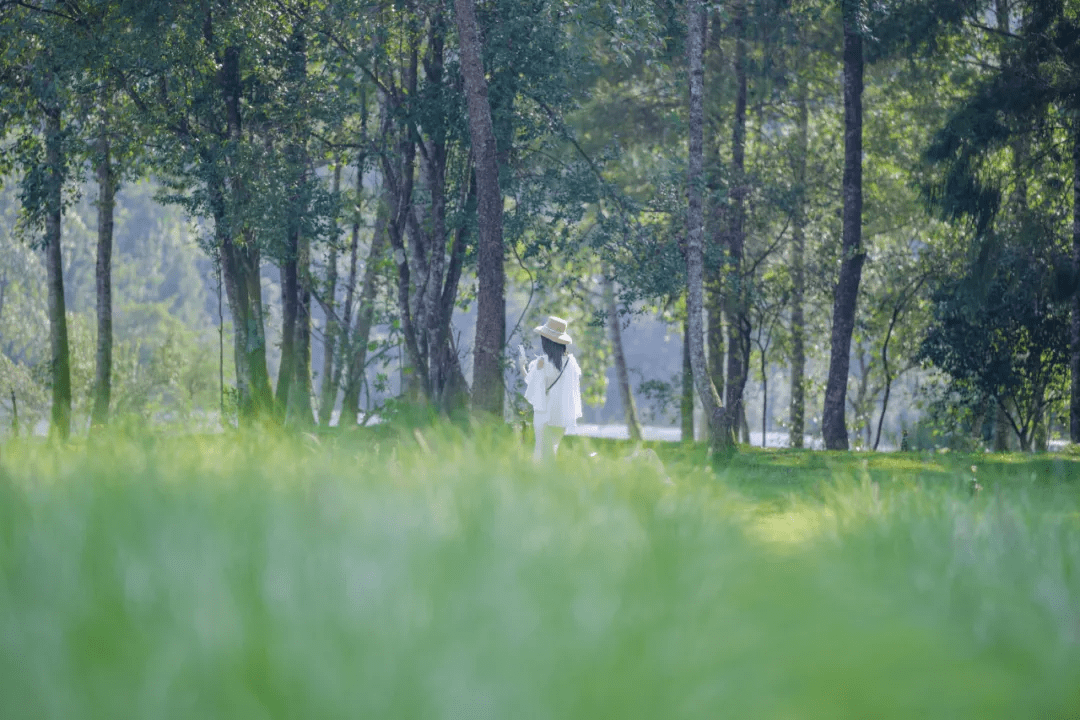 桂花|落日跌进昭昭星野，人间忽晚，山河已秋