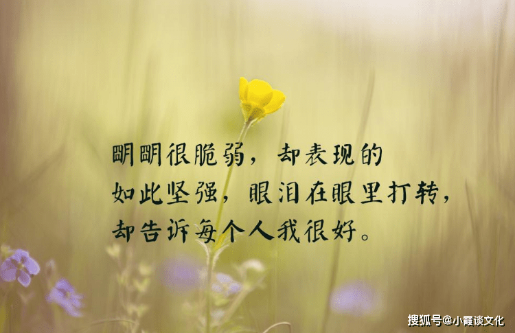 f571d731239842e5a77b9614897f0c31.png