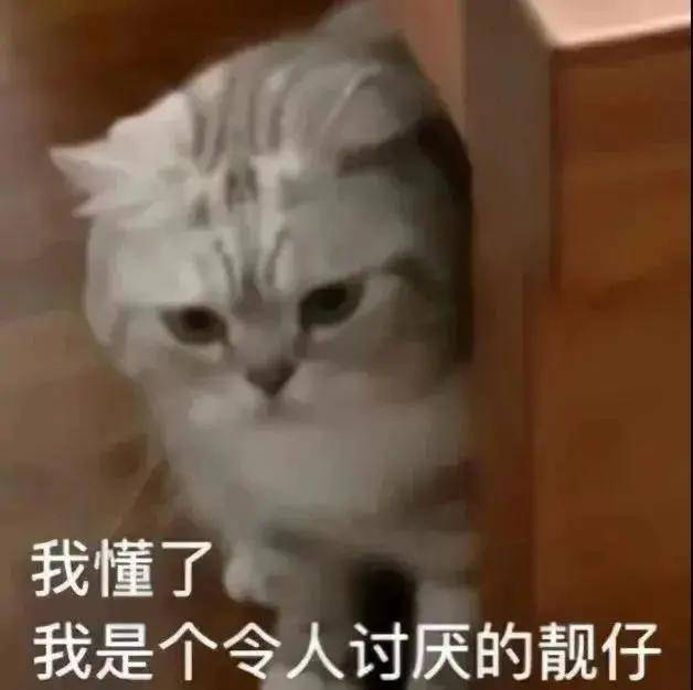 fe3ef2e0e69748388c4aa7a916390988.jpeg