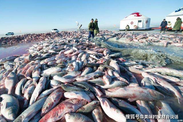 一网捞出40万斤鱼，难道查干湖的鱼是洗澡鱼？当地渔民说出实情