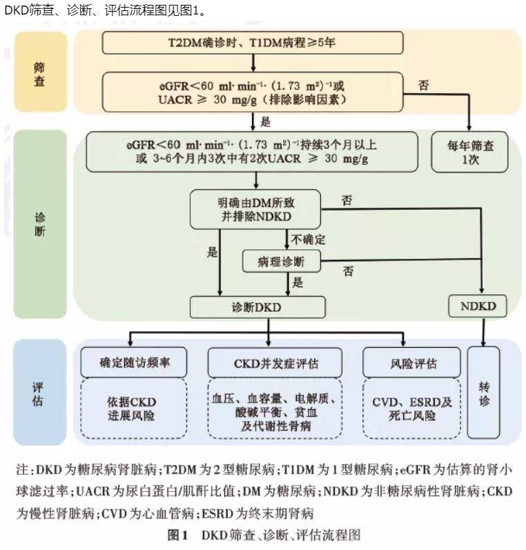 血糖|《中国糖尿病肾脏病防治指南(2021年版)》要点提示,一文全!