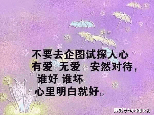 什么心什么忍的成语_成语故事手抄报(2)