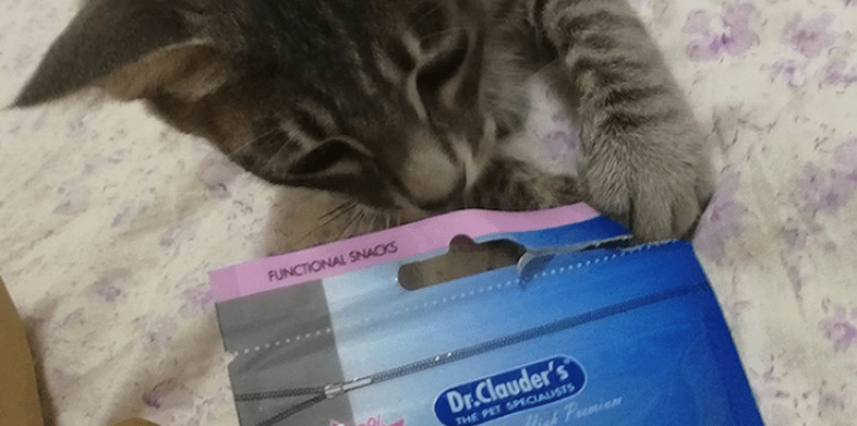 补充|除了猫粮之外,猫零食同样很重要,猫零食排行榜9.7