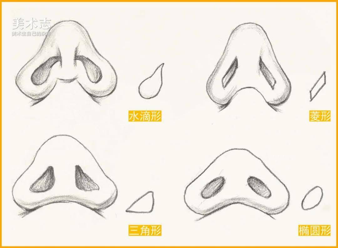 投影|真实的【鼻子】和石膏鼻子有一些区别，在处理上要更加细心 ！