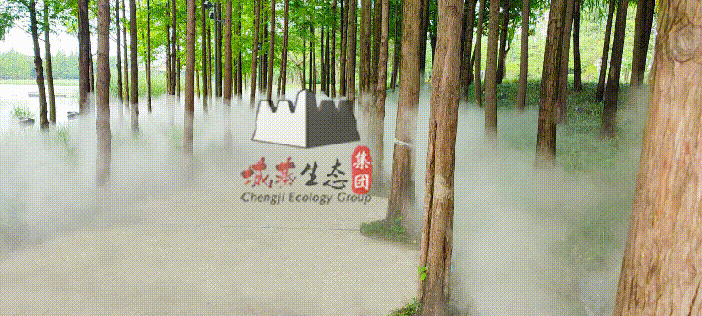 智慧公园互动景观装置，“沉浸式”体验，打造网红公园