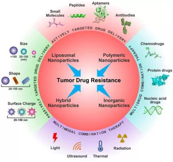 秦波教授团队在国际顶尖药学期刊《Drug Resistance Updates》发表综述论文_肿瘤