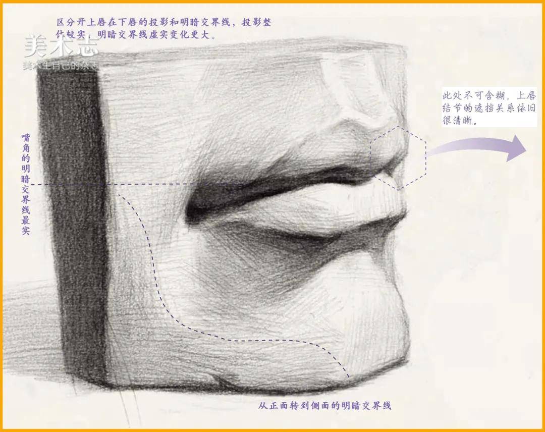 交界线|【嘴巴】应该是每个人区别最大的五官，你仔细观察过吗 ？