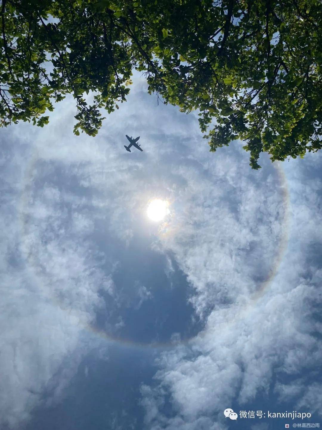 新加坡出现日晕,祥瑞之兆!_日冕