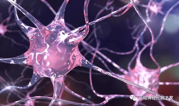 治疗|渐冻症是什么（运动神经元）
