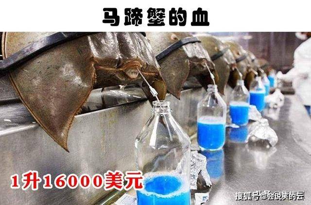 7ce33e70b5c249a5a12b8ce2cc85af01.jpeg