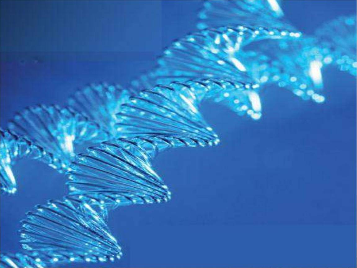 邦你学 高中生物13大重要规律和公式 开学好好背 染色体