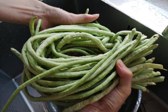 怎么晒干豆角保持绿 c87c573715ba428b833e7977a0d4d076.jpeg