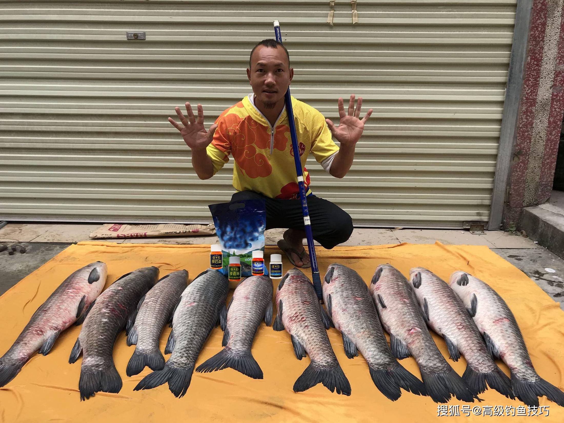怎样泡钓鱼麦子 06e901c5c85a4e04bfb06f67cd5b6fce.jpeg
