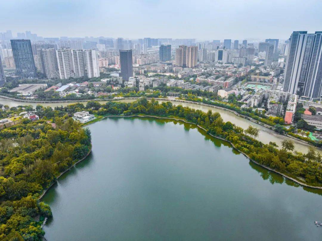 江湖纵横之间成都南二环再出王炸