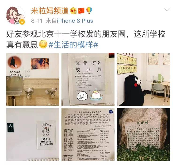 留学生|作为留学生和妈妈，我为什么不赞成孩子太早进入国际学校？