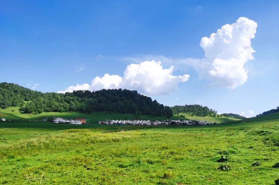 來源:關山草原旅遊景區返回搜狐,查看更多