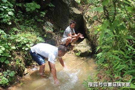 广西现神秘泉水，村民喊快点来水要喝水了，泉水就涌了出来