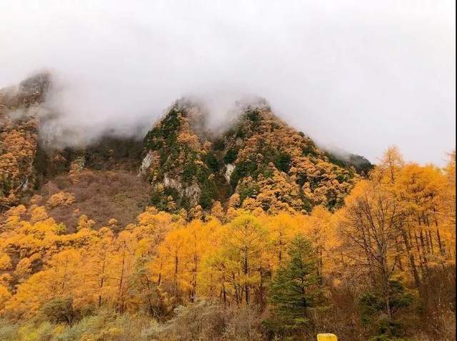 「草科乡」彩林风光无限好