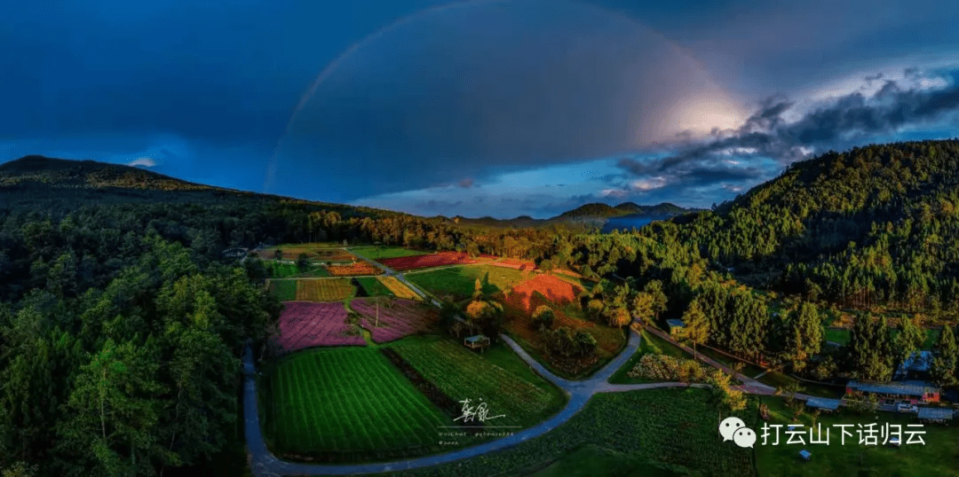 桃李|福利放送丨晨曦细雨育桃李，金秋硕果慰园丁！腾冲归云庄景区教师节献礼啦