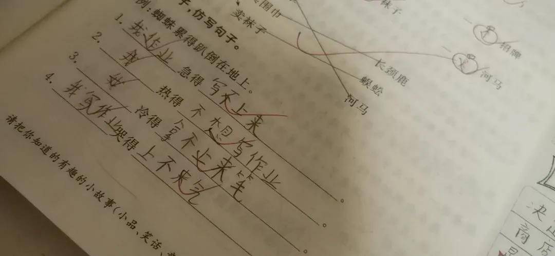 f44abb45286e476f862a0603735d9db1.jpeg