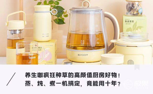 玻璃|把厨房放进“壶”里！蒸炖煮一机搞定，堪称上班族养生神器