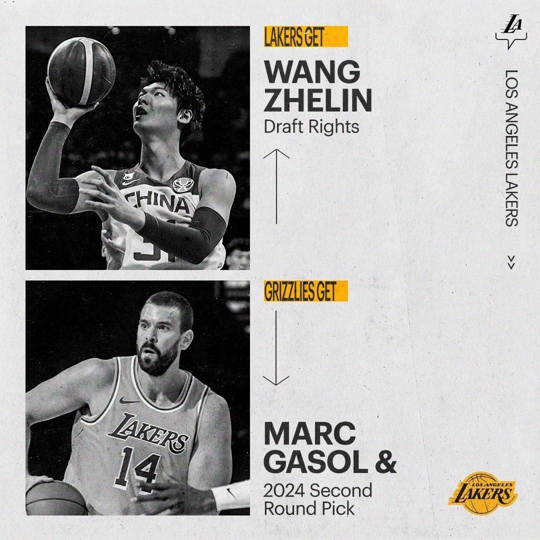 王哲林人生巅峰，单换小加索尔，一个次轮选秀权和25万美元_搜狐网