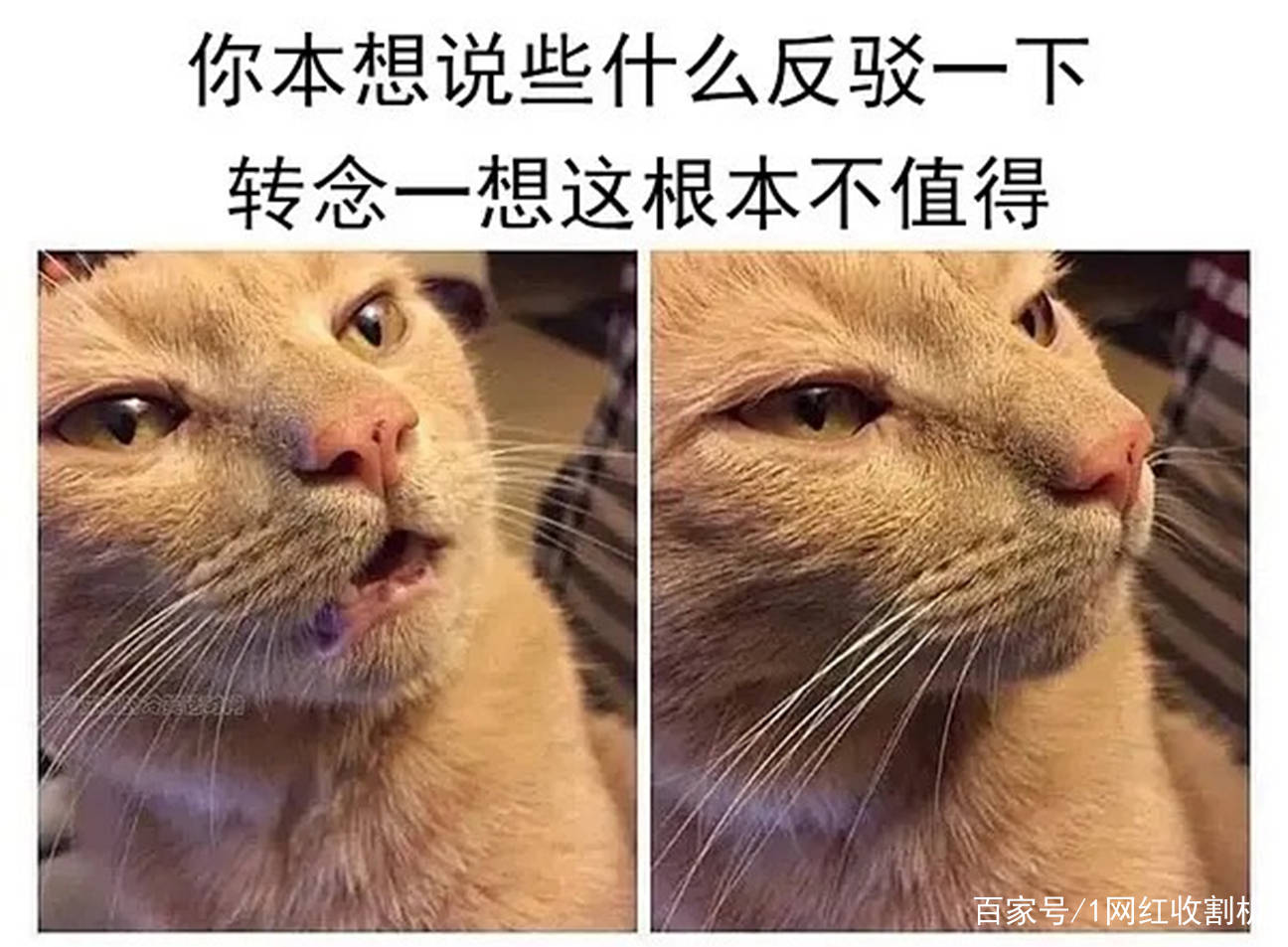 隆穹|太尴尬了!盘点8位明星“改头换面”后车祸现场,都是灾难(下)