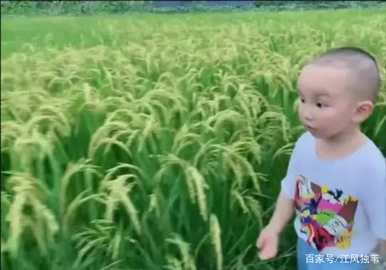 恩情|二十八年恩情对阵一年多恩情，许敏输给了杜新枝，这是为什么？