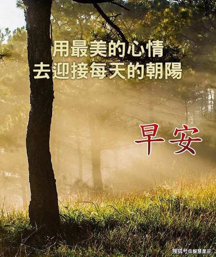 好的句子简短 7f42c8c407bd4e05a3e573de1542576b.jpeg