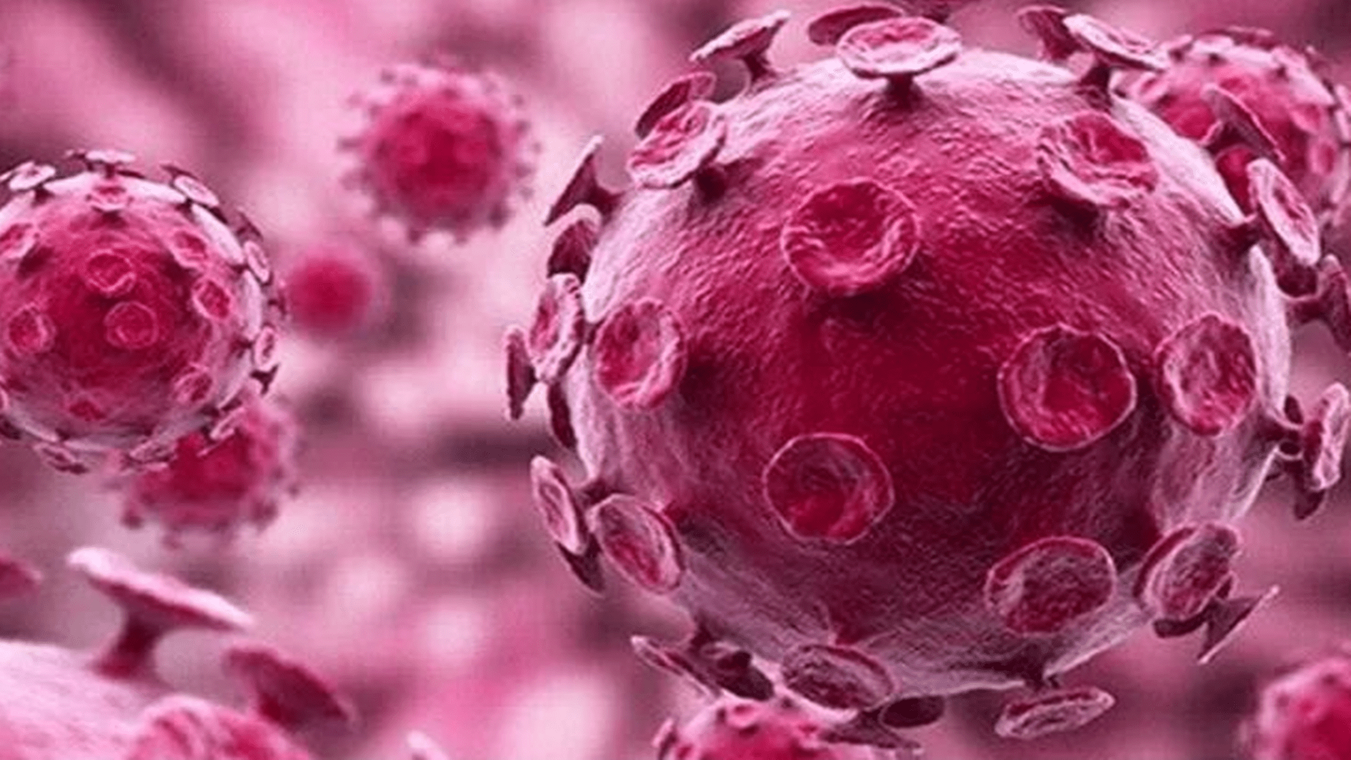 接种|男性该打“宫颈癌疫苗”？临床注册试验筹备中，男性福利