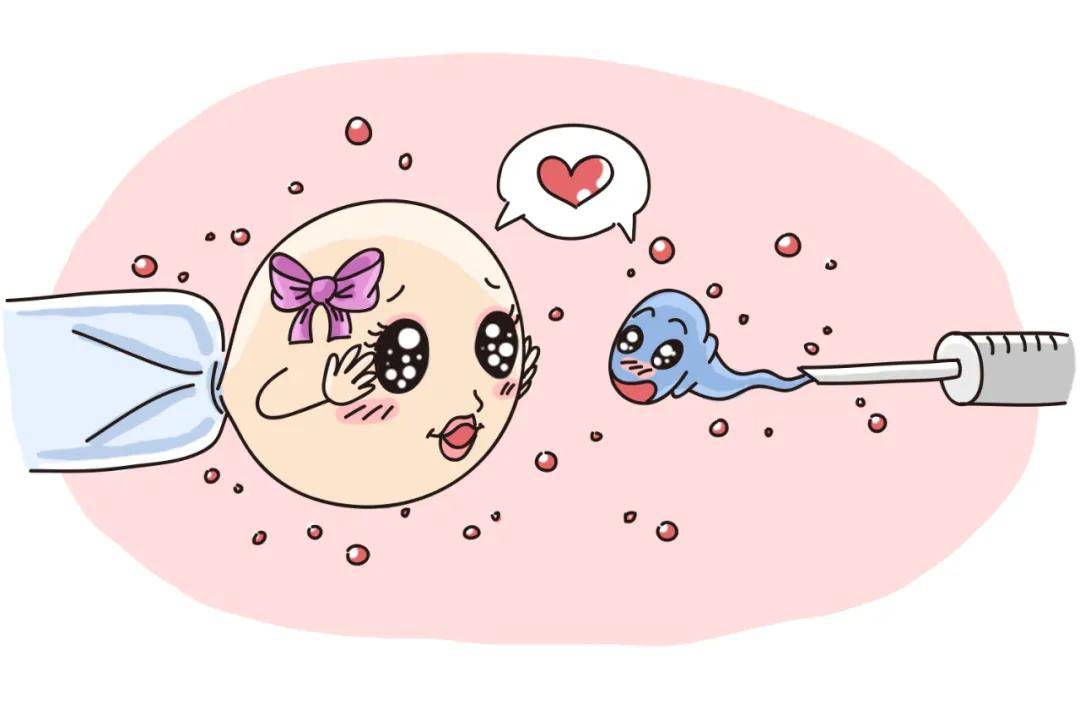 因为|913优生节高效优孕秘籍|优势卵泡到底长啥样？满足这3个条件，就可以了！