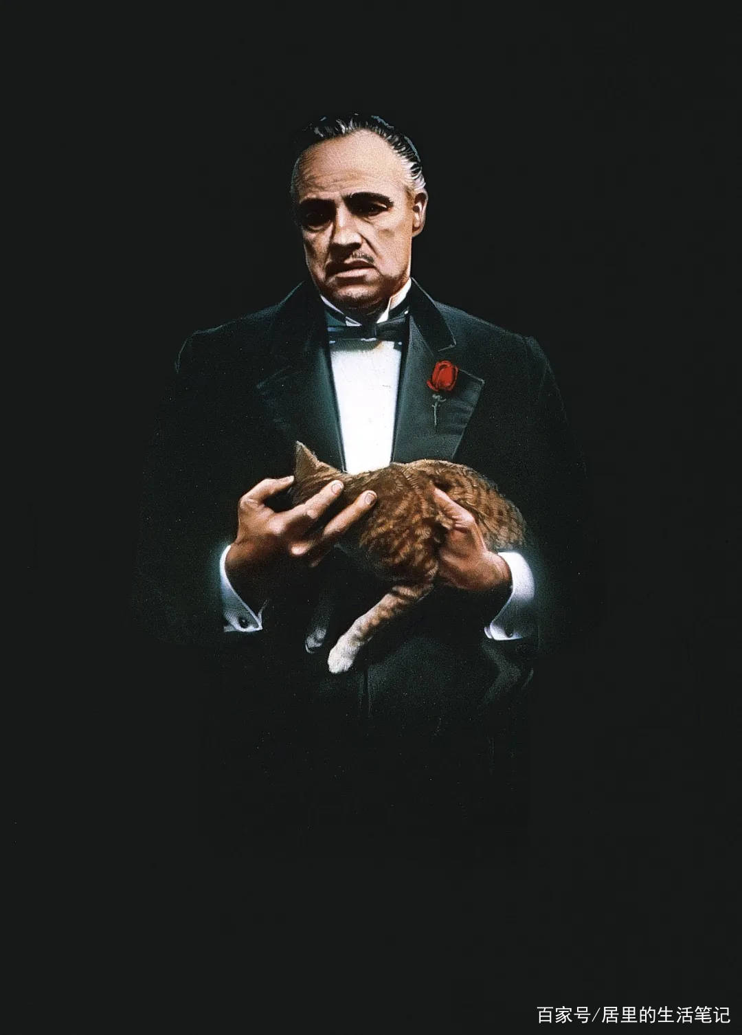 教父|好莱坞星二代18岁被嘲演技差,28岁成超牛导演:小金人我家9个