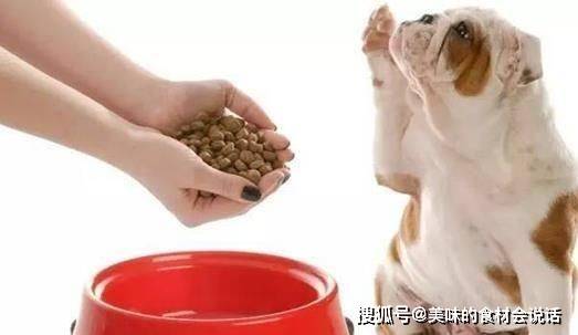 方法|狗狗挑食千万不能忽视,4个方法帮你彻底杜绝!