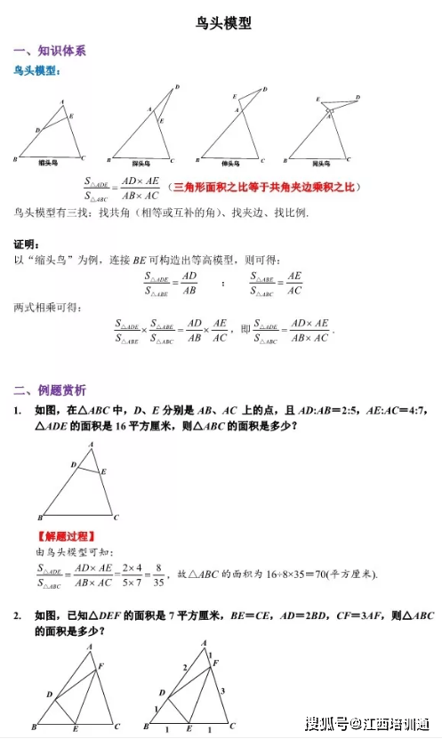 江西培训通 教招几何面积计算没思路 五大模型之鸟头模型来帮忙 三角形