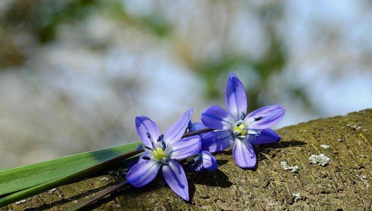 睡觉时间|精致生活的11个好习惯，请逼自己养成