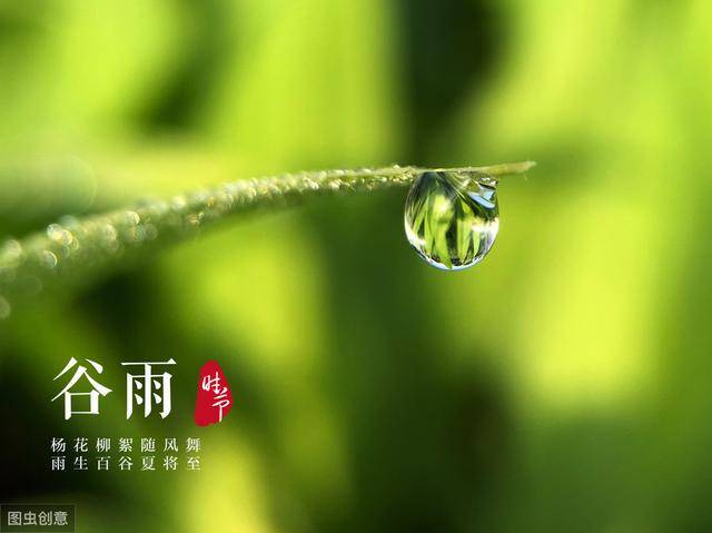 a4ac1bf2fce54ad8883149c7f7e93501.jpeg