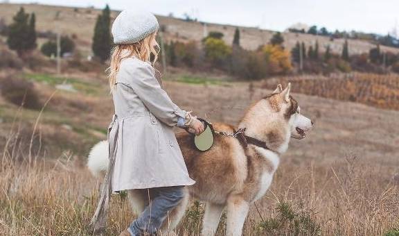 狗为啥不喜欢穿衣服 b6940658a2674b409faabadc510d0c1b.jpeg