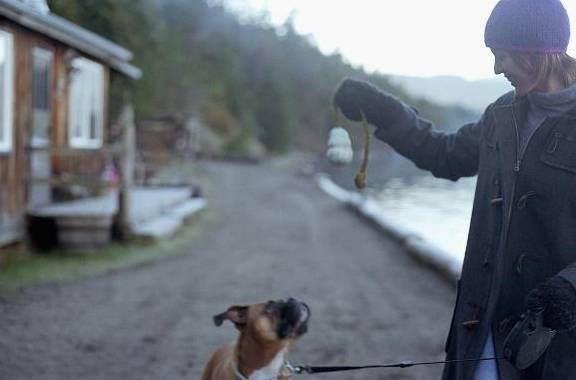 什么|很喜欢出去玩的狗,为什么突然死也不出门?你找到原因没