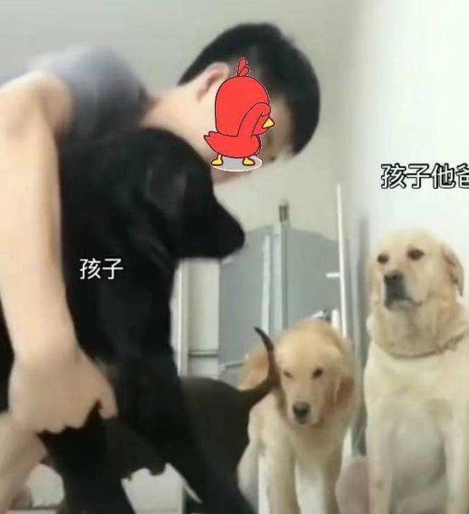 f4ff9e8f814f4da5b0a8ec43fc293782.jpeg
