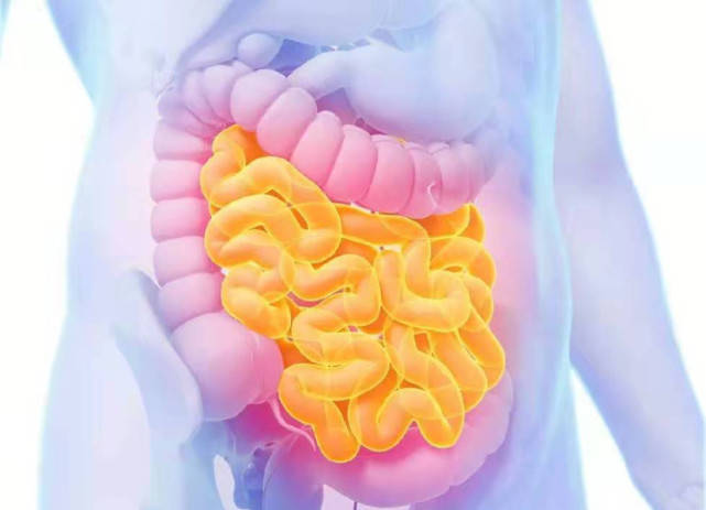 血管|吃一口胜过10斤苦瓜，血糖直降到4.3，医生：方法值得借鉴