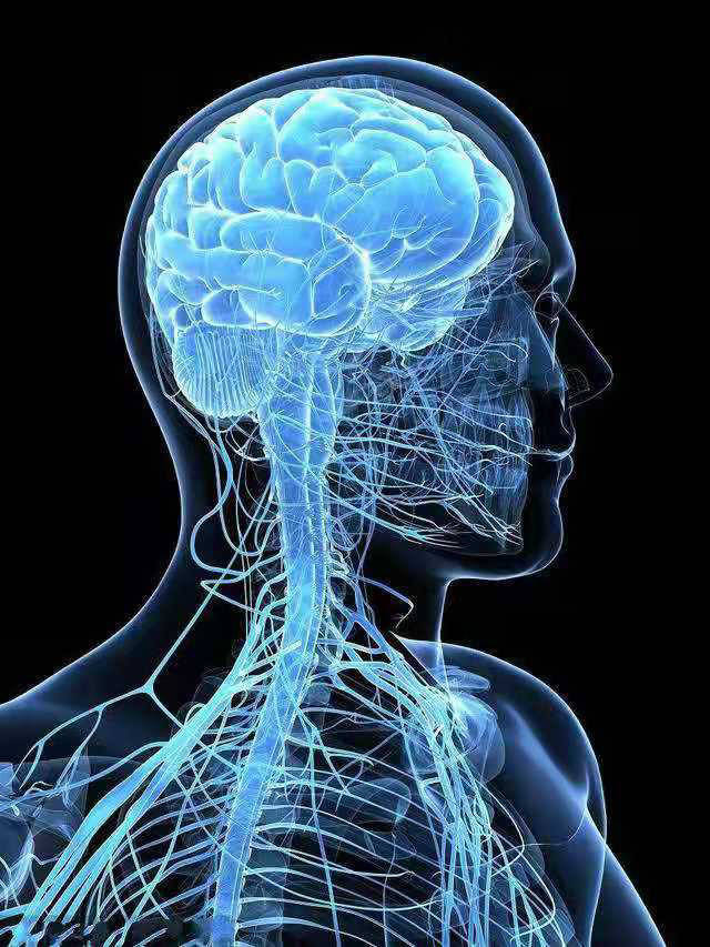 血管|吃一口胜过10斤苦瓜，血糖直降到4.3，医生：方法值得借鉴